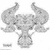 Coloring Taurus Pages Zodiac Sign sketch template