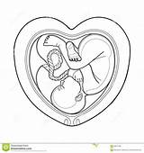 Womb Coloring Designlooter Fetus Graphic Inside 9kb 1300 sketch template