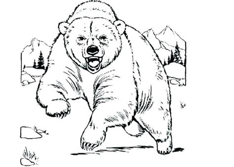 california grizzly bear page coloring pages