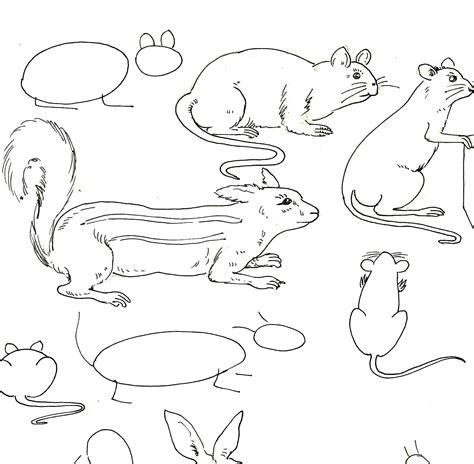 studentsdrawing animaloutline drawing