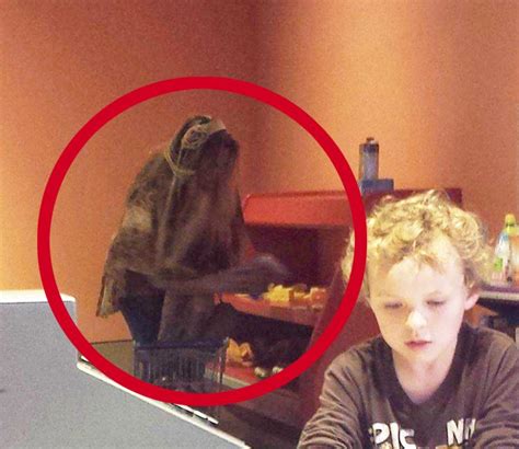 horrifying ghost pictures   famous ghost  sixwllts