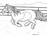 Gypsy Vanner Horse Coloring Pages Horses Printable Color Pony Realistic Running Getcolorings Simple 1100 850px 01kb sketch template