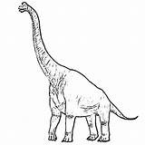 Brachiosaurus Wuerhosaurus sketch template