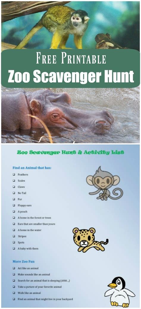zoo scavenger hunt  kids  printable edventures  kids