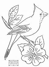Birds Bordar French Knots Cardinal Bordado Crewel Stitches Transfers Drawing sketch template