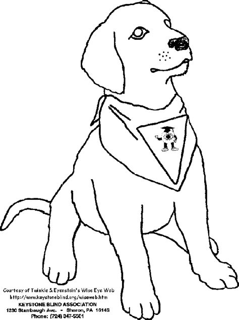 dog template  kids coloring home