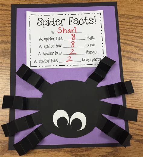 spider activities  class  love scholastic