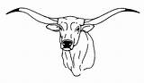 Longhorn Pages Drawing Steer Come sketch template
