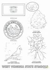 Pages Symbols Coloring State Texas Getcolorings sketch template