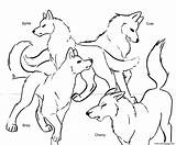 Wolf Coloring Pages Baby Color Getcolorings Printable Print sketch template