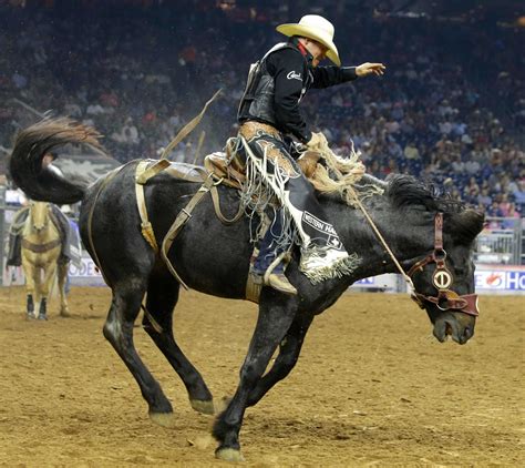 rodeo   family affair  saddle bronc rider harter houston chronicle