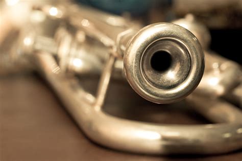 clean  trumpet   snake clean  instrument
