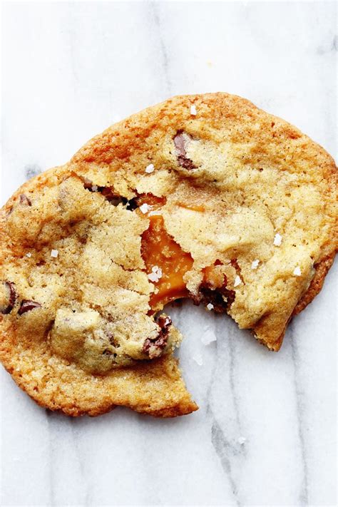 15 Of The Best Chocolate Chip Cookie Recipes The