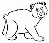 Bear Coloring Pages Color Cartoon Drawing Draw Clipart Family Line Animal Animals Brown Cliparts Print Simple Jungle Printable Clip Little sketch template