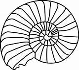 Shell Clip Spiral Clipart Large Outline Clker Starfish sketch template