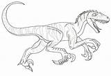 Velociraptor Colorir Raptor Raptors Jurassic Dinosaurier Desenhos Corriendo Druku Perigoso Dinosaurios Dinosaurio Kolorowanki Kolorowanka Coloringhome Template sketch template