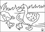Coloring Pages Kids Animals Navigation Post Duck1 sketch template