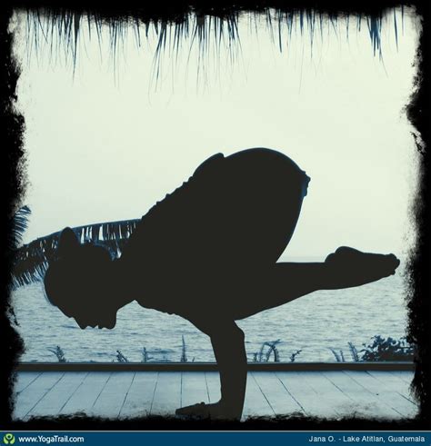 crow pose yoga asana image  janaolenio