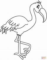 Flamingo Coloring Pages Printable Flamingos Inspired Drawing Bird sketch template
