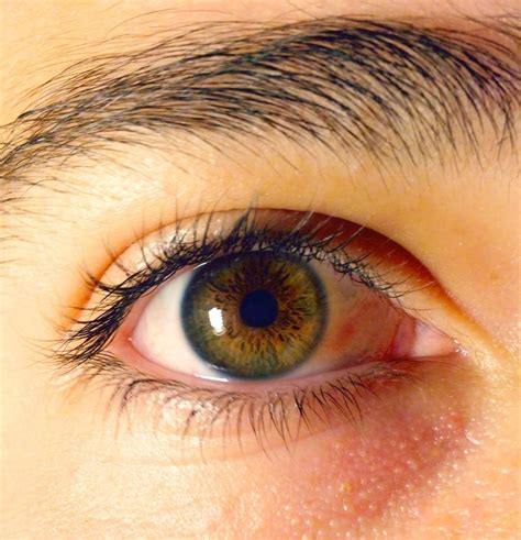 colore degli occhi wikipedia