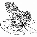Frog Coloring Frogs Cute Pages Adult Water Lily Leaf Animals sketch template