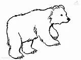 Bear Coloring Pages Polar Animals Drawing Color Cute Brown Bears Printable Cartoon Outline Colouring Animal Clipart Baby Sheets Clip Draw sketch template
