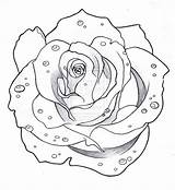 Rose Tattoo Roses Drawing Outline Traditional Tattoos Drawings Designs Stencil Coloring Water Outlines Deviantart Sketch Board Drops Pages Getdrawings Choose sketch template