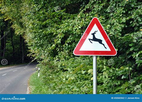 deer crossing sign stock photo image  warns dangerous