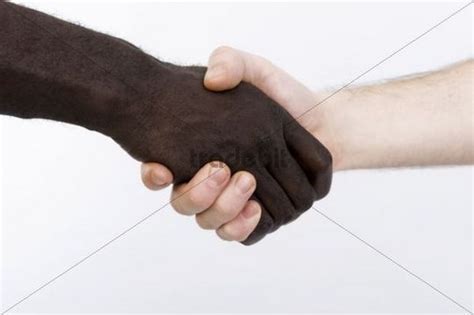 black and white shaking hands download people