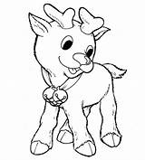 Reindeer Coloring Pages Rudolph Red Nosed Baby Printable Colouring Rudolf Nose Cute Collar Color Print Kids Jingle Bell Snowman Trending sketch template