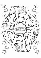 Elephant Coloring Pages Mandala Printable sketch template