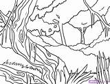 Coloring Trees Forest Rainforest Rain Pages Jungle Library Clipart Moss sketch template