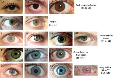 eye color chart eye color chart eye color change shades