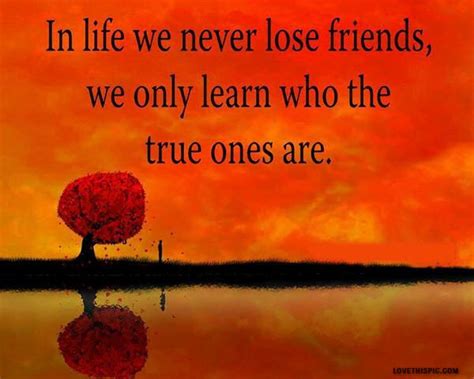 true friends quotes friendship quote sky friends tree life