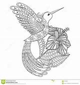Kolibri Farbtonseite Zentangle Hibiskus sketch template