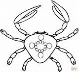 Crab Coloring Online Pages sketch template