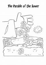 Parable Coloring Sower Pages Getcolorings Getdrawings sketch template