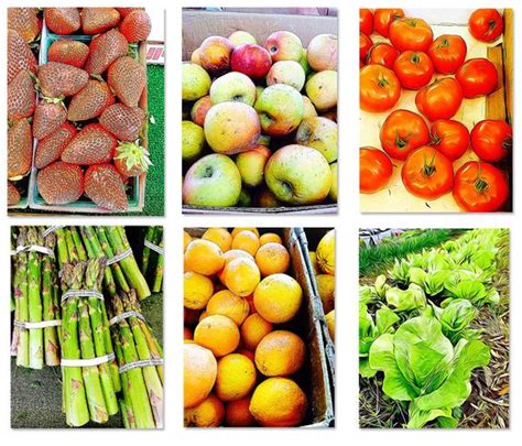 6 Pack Farmers Market Fruit And Vegetable Painting Photos