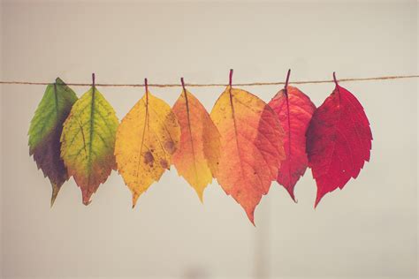 fall background ideas examples inspiration daily design inspiration
