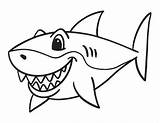 Shark Sharks Ocean sketch template