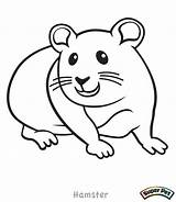 Hamster Coloring Pages Color Cute Drawing Critter Glider Print Dwarf Sugar Realistic Printable Kids Animals Colorings Getdrawings Getcolorings Simple Dog sketch template