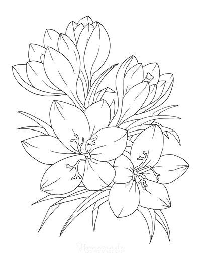 flower coloring pages  kids adults flower art drawing