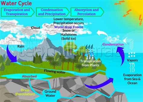 Read More Water Cycle Water Cycle