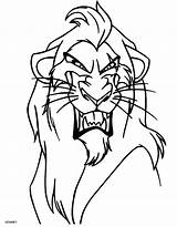 Lion Roi Colorier Coloriages sketch template