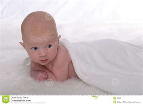baby  white stock photo image   soft birth