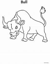Bull Coloring Pages Kids Printable Bible Drawing Book Ferdinand Maps Getdrawings Printables Classroom Personal Church Use Coloringbook sketch template
