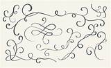 Flourish Vector Calligraphy Eps10 Whorls Decorative Illustration Vintage Set Vecteezy sketch template