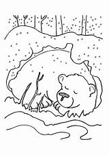 Kolorowanki Musim Roku Pory Zima Jahreszeiten Momjunction Kleurplaten Zimą Afkomstig Kidipage Halaman Kertas Sejuk Mewarna Polar sketch template