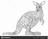 Canguro Kangaroo Zentangle Animale Principessa Stampare Antistress sketch template