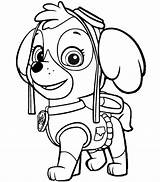 Paw Patrol Tracker Coloring Pages Printable Getcolorings Color sketch template